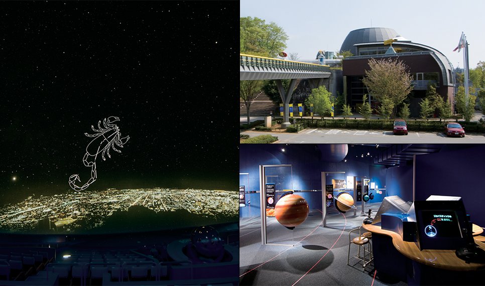 🖼️ 야마나시 현립 박물관 (야마나시켄리츠하쿠부츠칸) 이미지 8